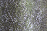 Ryarsh fibreglass roof work