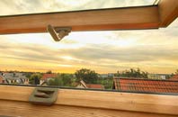 rated Ryarsh roof window companies